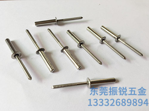 不锈钢抽芯铆钉